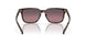 201304 - Tortoise - Rose Gradient