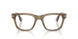 1228 - Brown