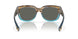 901918 - 251 Shiny Wahoo - Gray 580g