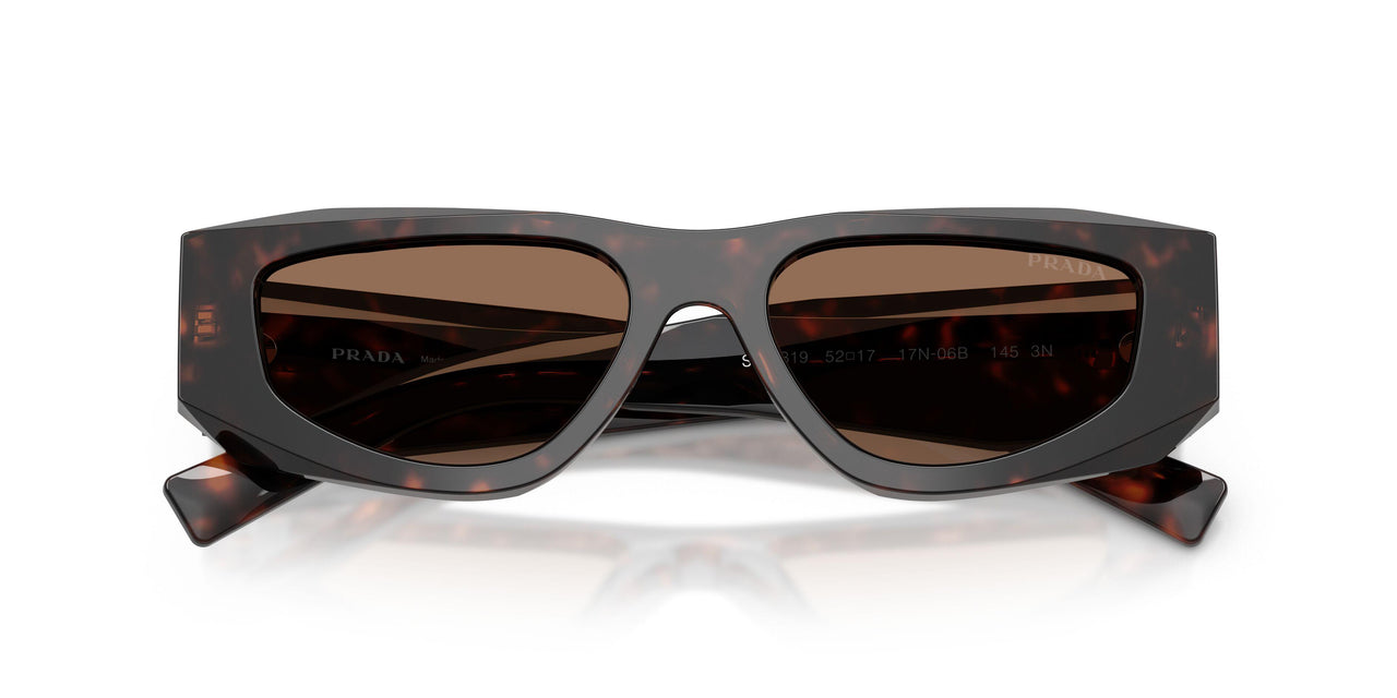 17N06B - Tortoise - Dark Brown