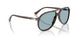 124762 - Brown - Sky Blue