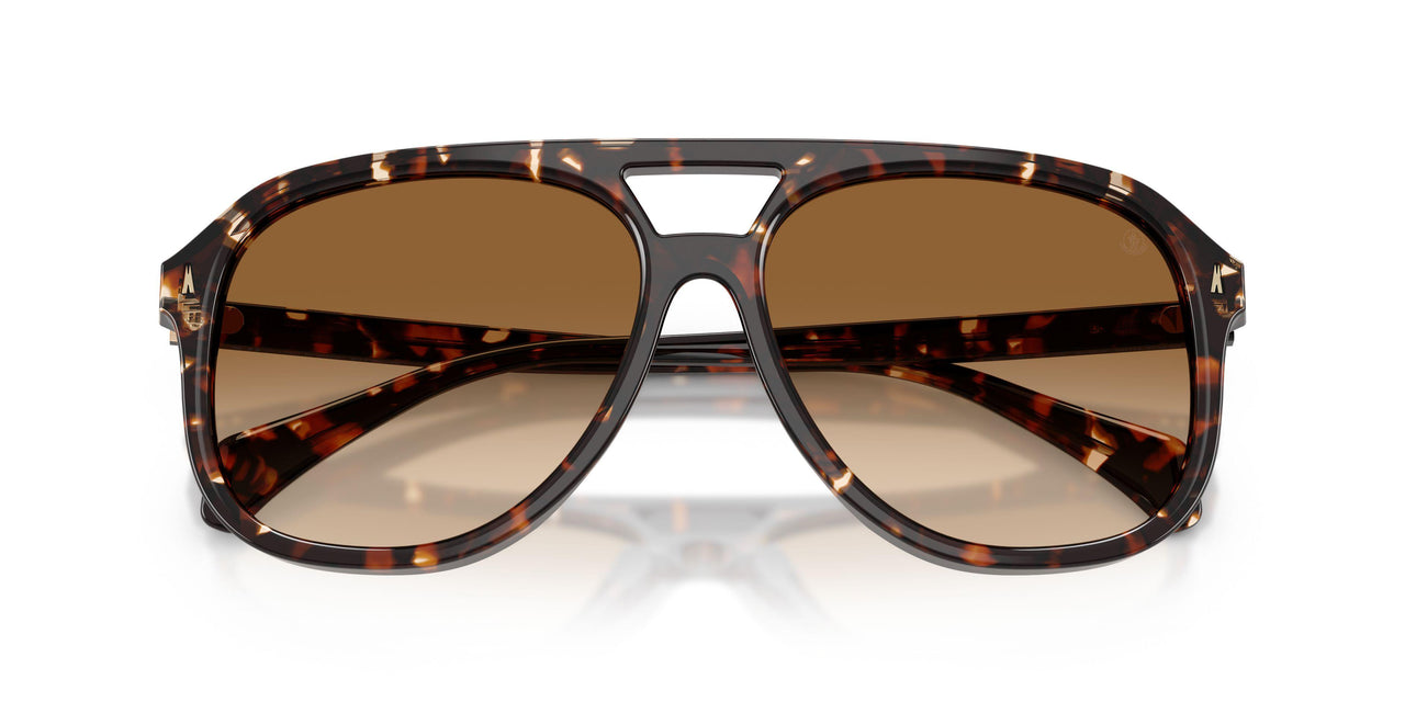 304889 - Tortoise - Gradient Brown