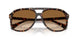 304889 - Tortoise - Gradient Brown