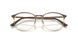 2917 - Tortoise - Clear