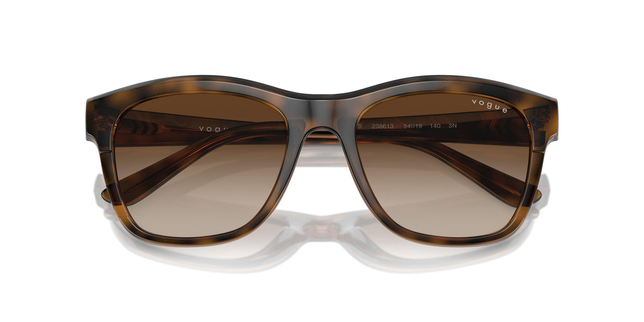 238613 - Brown - Brown Gradient