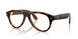 6905M4 - Tortoise - Clear/brown