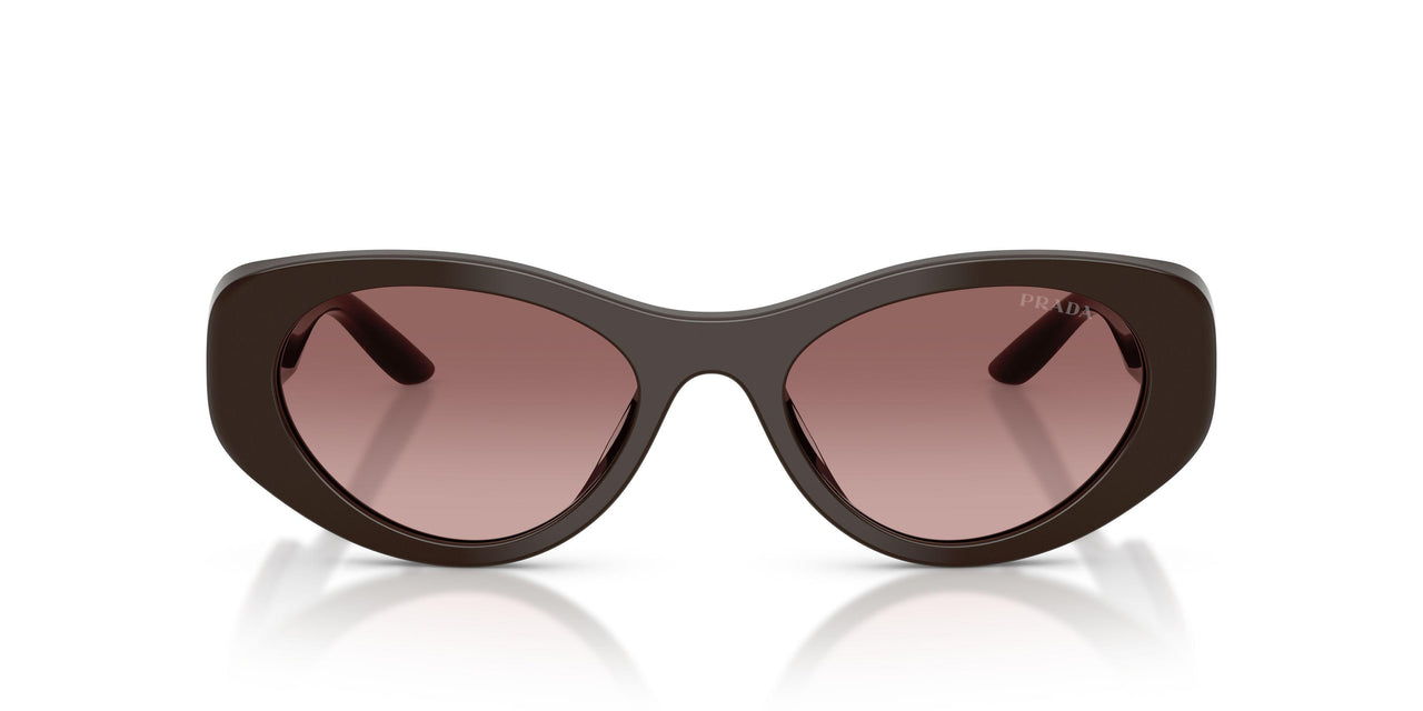 27I51B - Brown - Brown Gradient Violet