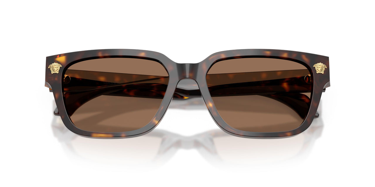 108/73 - Tortoise - Dark Brown