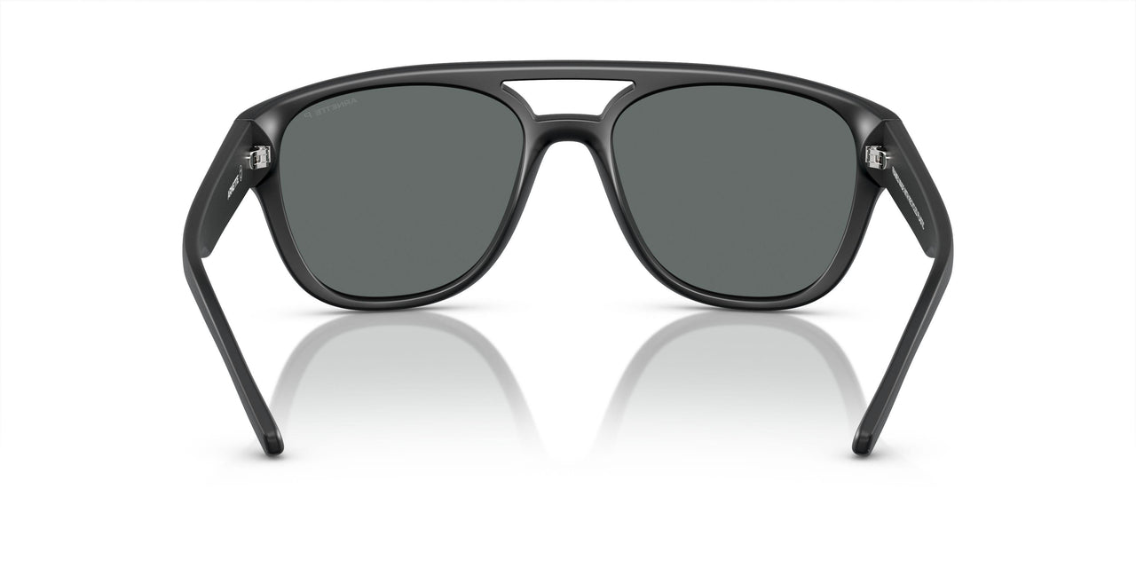 290081 - Black - Polarized Grey