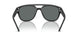 290081 - Black - Polarized Grey