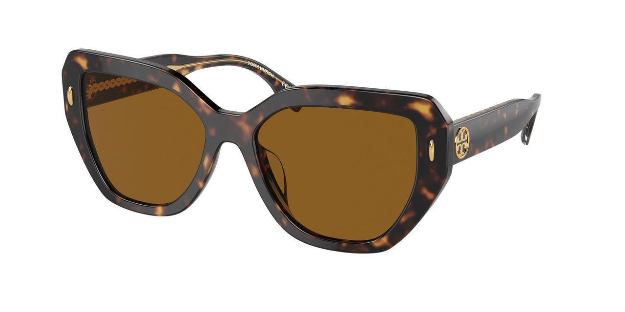 172883 - Tortoise - Solid Dark Brown Polar