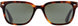 3 - Tortoise - True-Tone Green