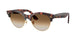 143251 - Havana - Clear Gradient Brown