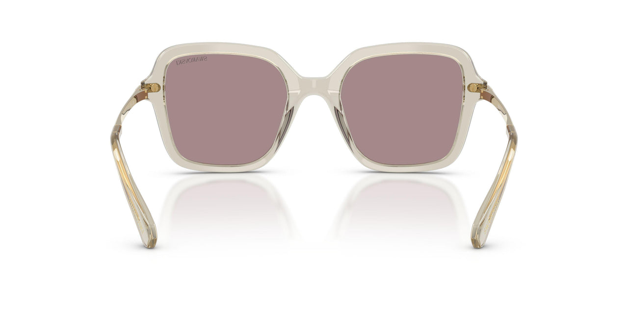 3003LA - Brown - Violet