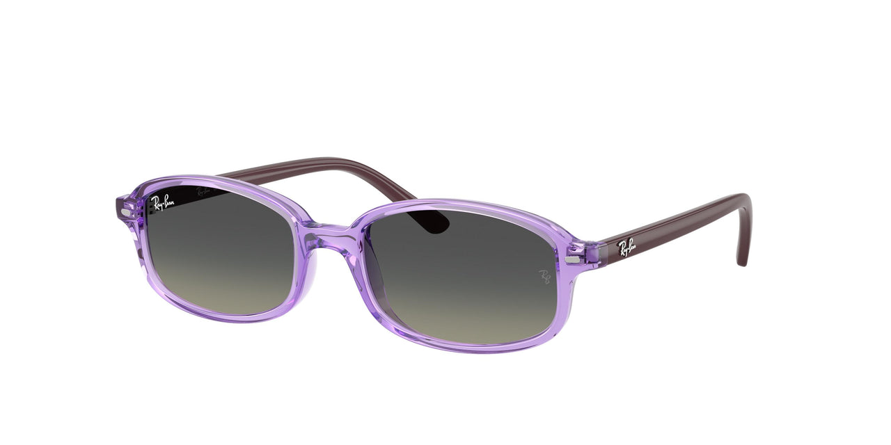 719911 - Violet - Gradient Grey