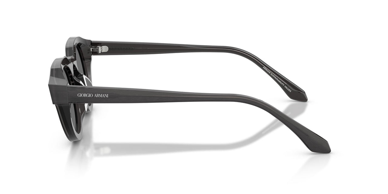 639587 - Tortoise - Grey