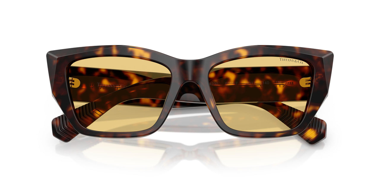 8015/7 - Tortoise - Orange