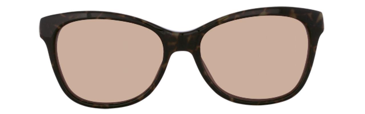 550 - Tortoise