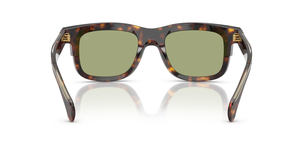 300282 - Tortoise - Green