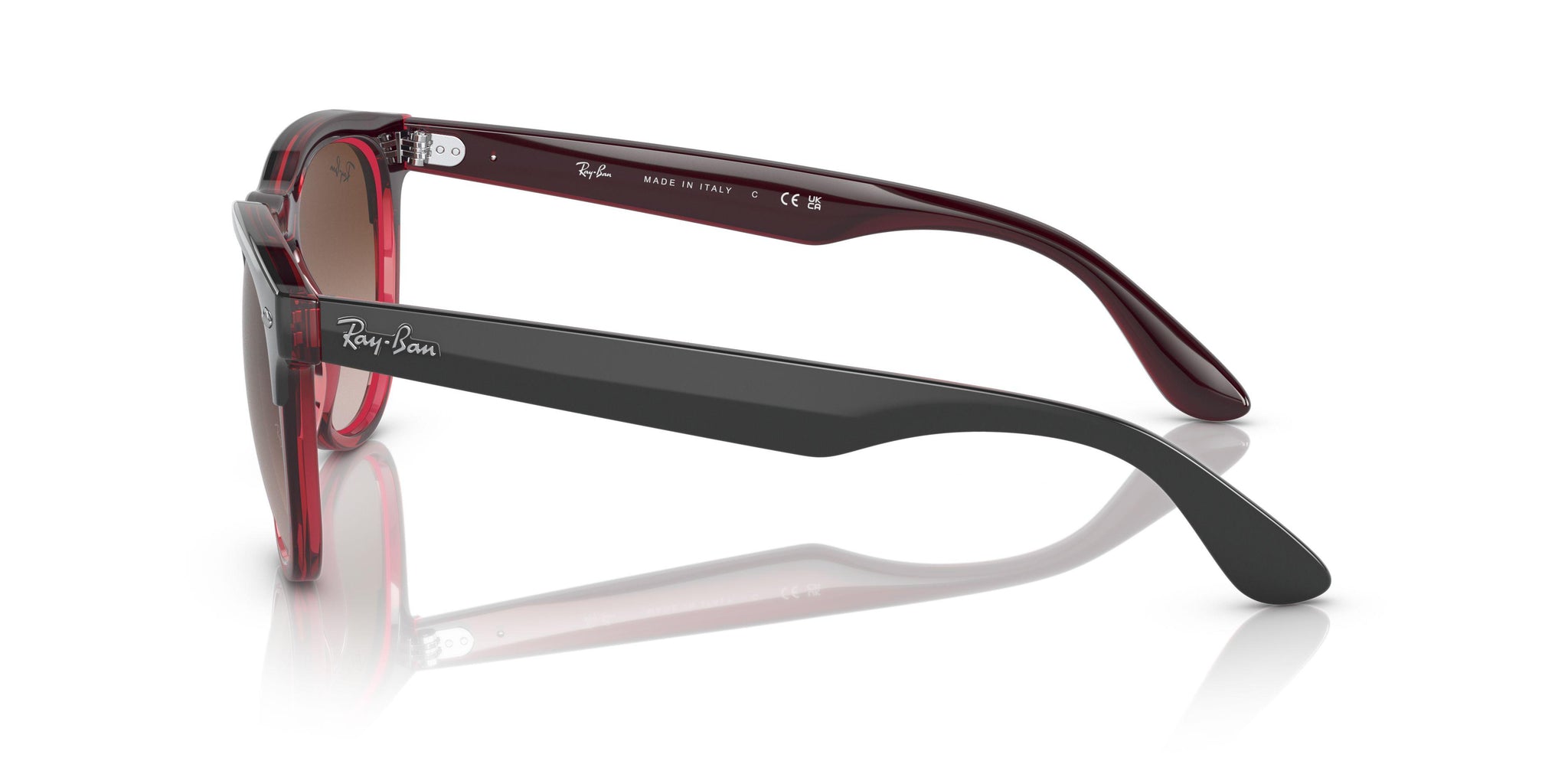 Ray-Ban Iris 4471 Sunglasses