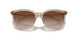 836613 - Brown - Gradient Brown