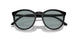 6081/1 - Black - Light Blue
