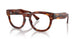 2144 - Brown - Clear