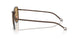 300673 - Copper - Brown
