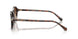 403913 - Brown - Brown Gradient