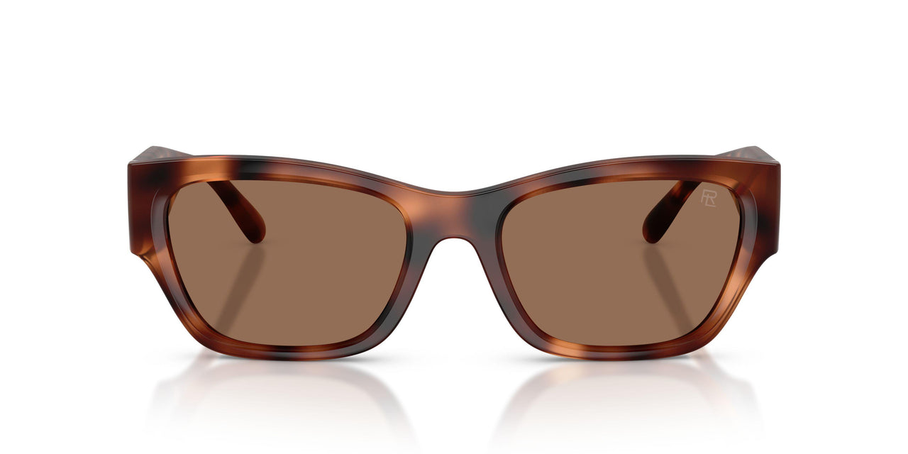635173 - Tortoise - Brown
