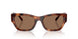 635173 - Tortoise - Brown