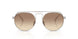 319/13 - Tortoise - Gradient Dark Brown