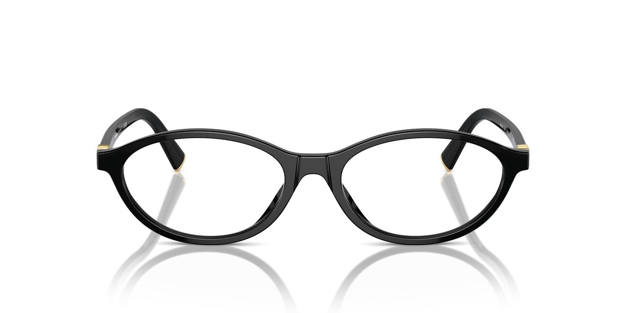 16K1O1 - Black