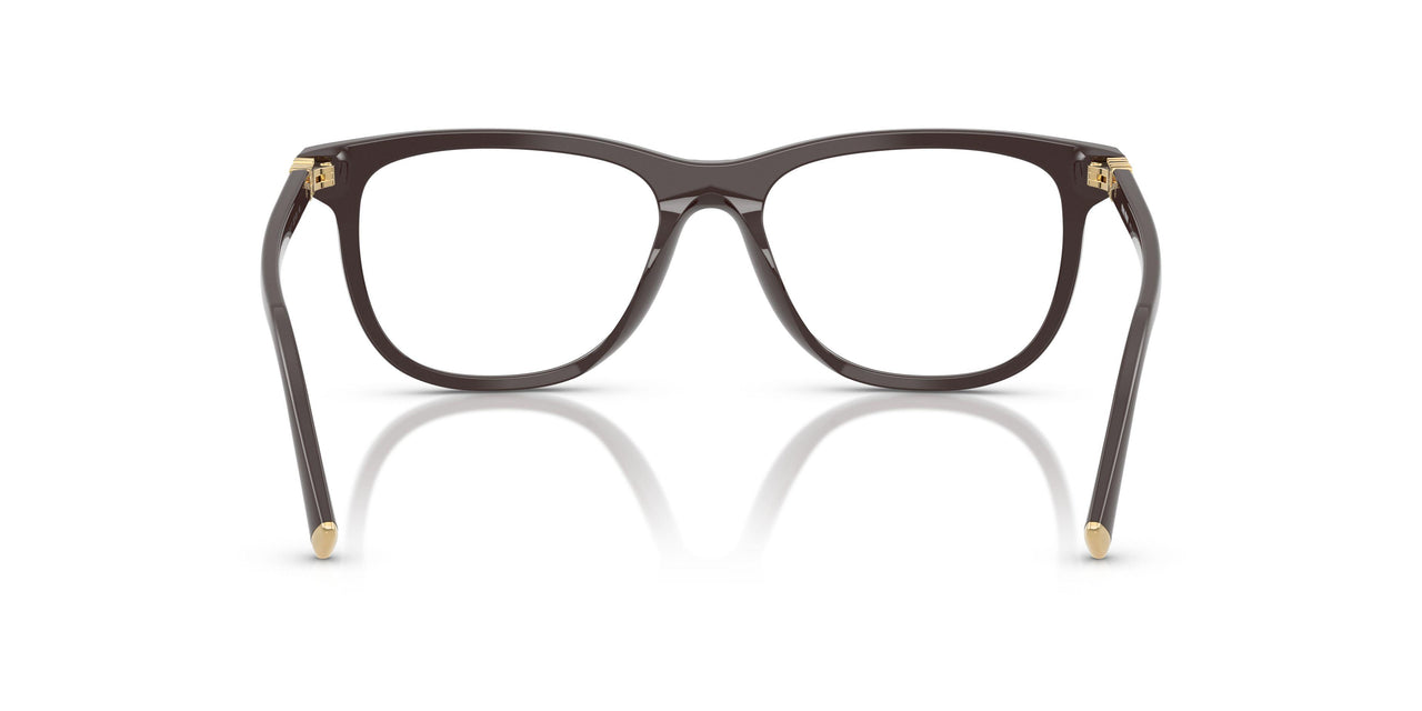 22C1O1 - Brown