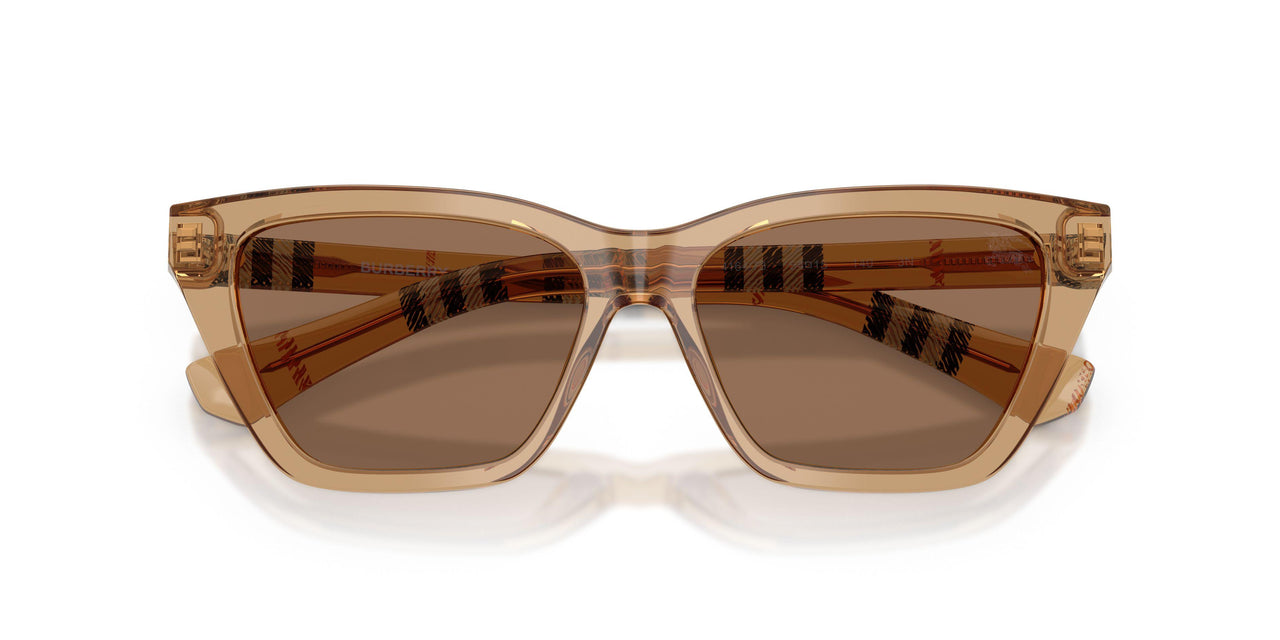 416473 - Beige - Dark Brown