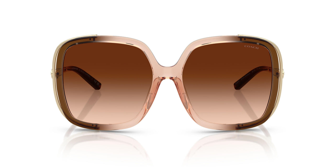 576974 - Brown - Brown Gradient