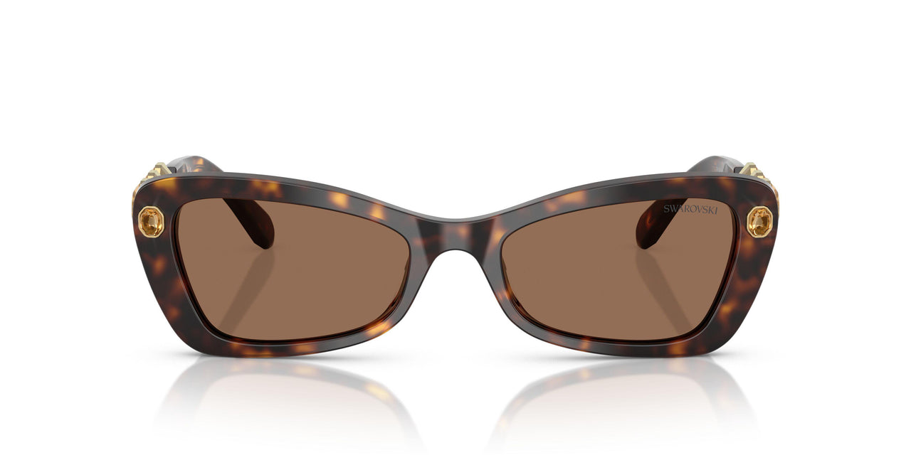 100273 - Tortoise - Dark Brown