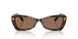 100273 - Tortoise - Dark Brown