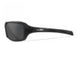 CCSLE02 Grey Lens/Matte Black