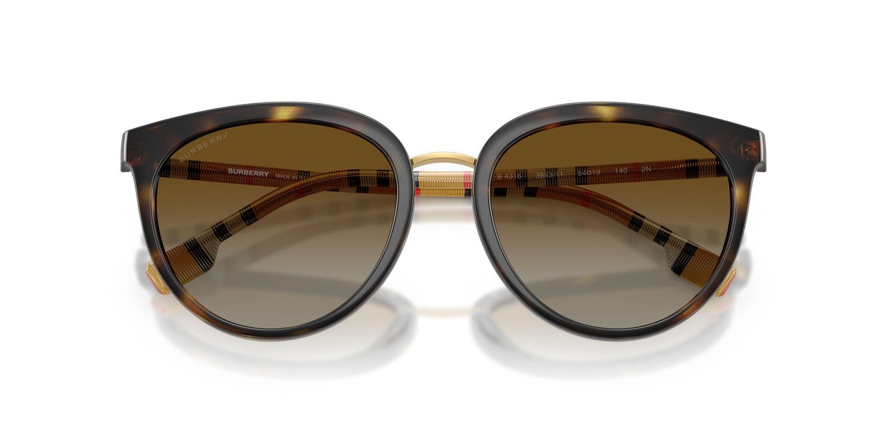 3854T5 - Havana - Polar Brown Gradient