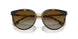 3854T5 - Havana - Polar Brown Gradient