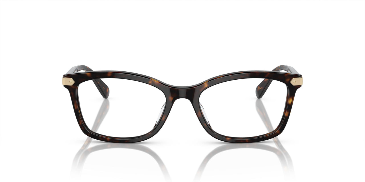 5120 - Tortoise