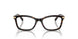 5120 - Tortoise
