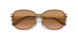 565413 - Brown - Brown Gradient