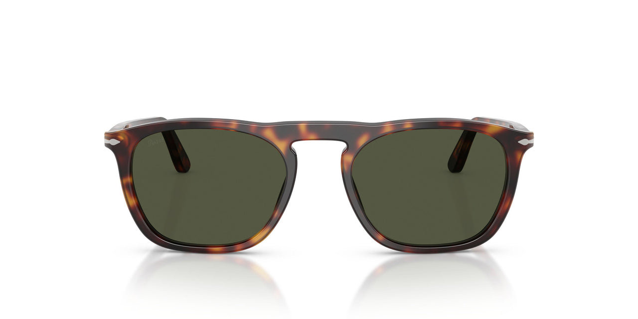 24/31 - Tortoise - Green