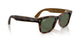 690571 - Tortoise - G-15 Green