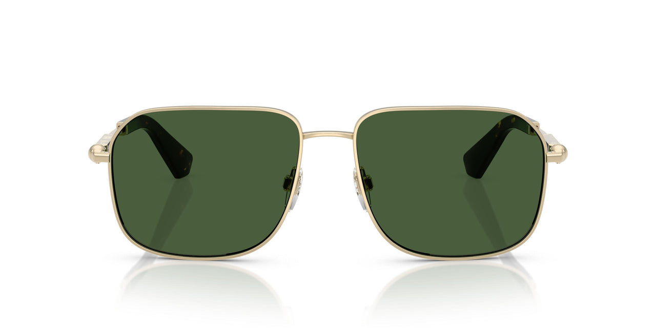 110971 - Gold - Dark Green