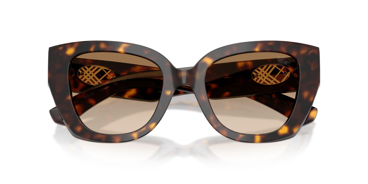 300289 - Brown - Brown Gradient