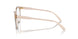2884 - Brown