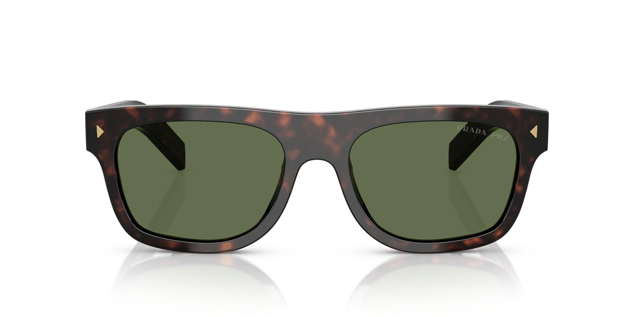 17N20G - Tortoise - Polar Green